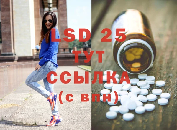 шишки Ветлуга