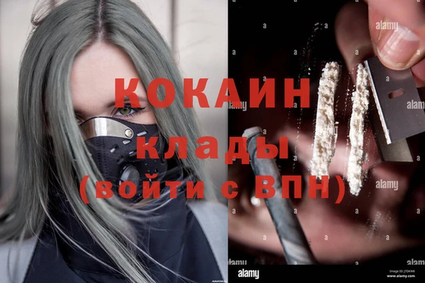 ПСИЛОЦИБИНОВЫЕ ГРИБЫ Алзамай