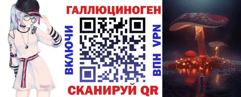 сколько стоит Богданович Галлюциногенные грибы Psilocybe